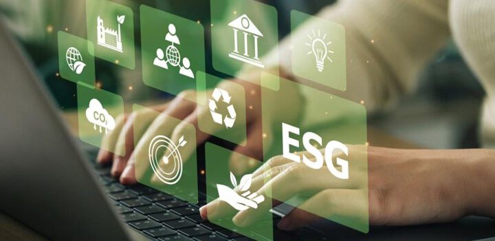 Nachhaltigkeit im Unternehmen gestalten: Teil 1 | Kommunikation, Wissen und innere Haltung entwickeln